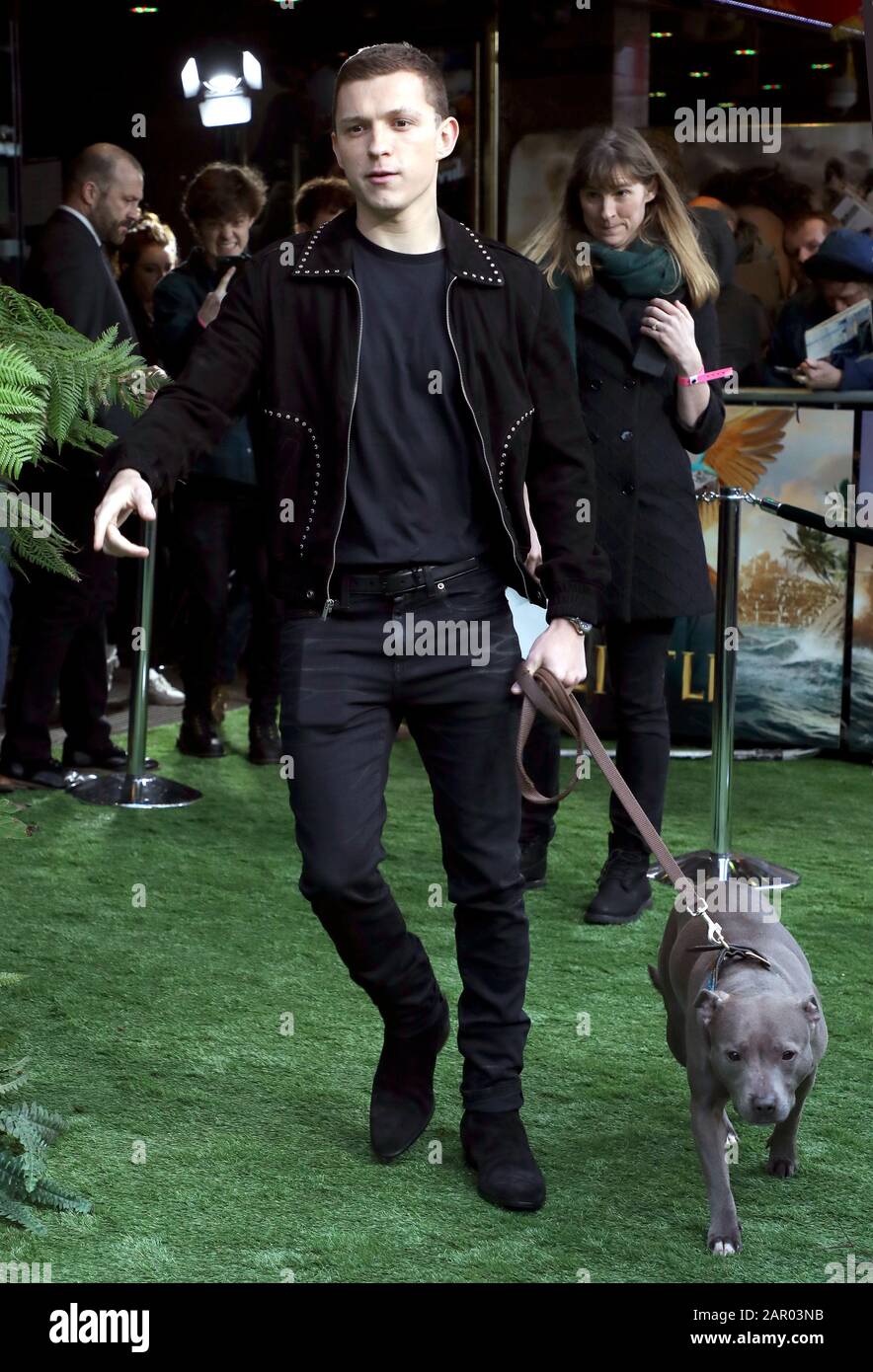 Tom Holland und sein Hund Tessa während Dolittle Premiere am Leicester Square, London. Stockfoto
