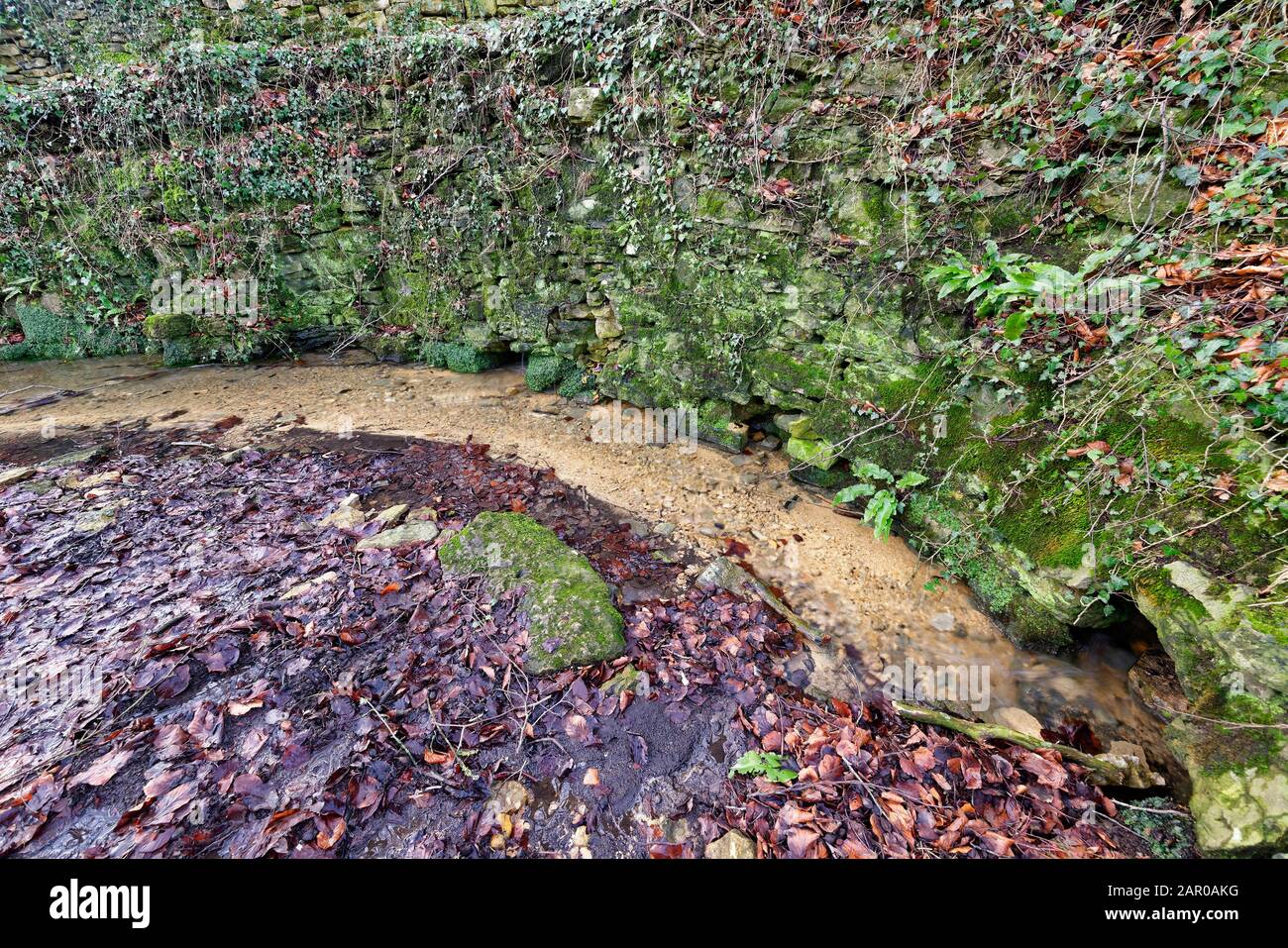 Seven Springs - Die Quelle des Flusses Churn und Thames, die am weitesten von der Öffnung entfernt ist, in Gloucestershire Stockfoto