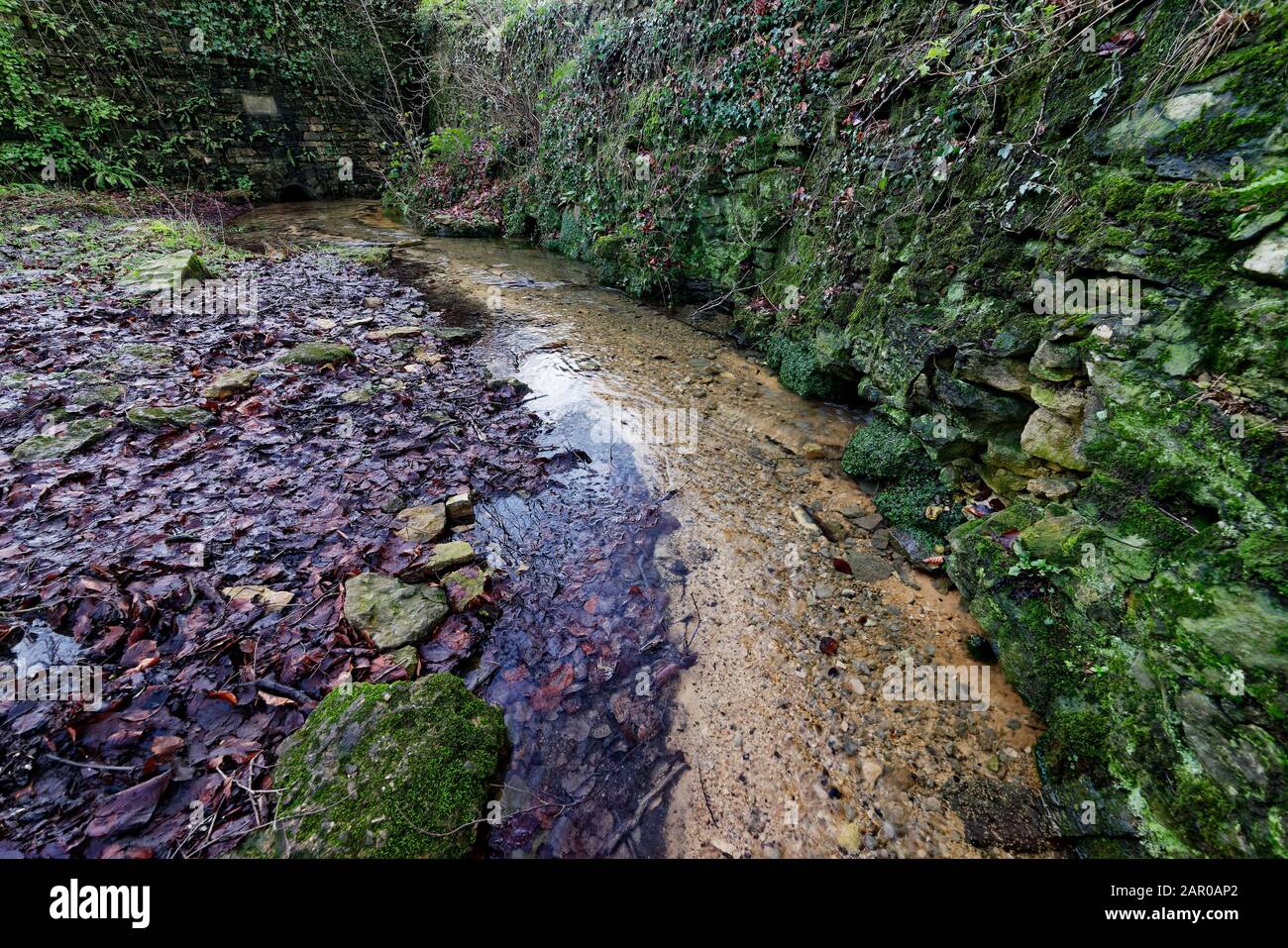 Seven Springs - Die Quelle des Flusses Churn und Thames, die am weitesten von der Öffnung entfernt ist, in Gloucestershire Stockfoto