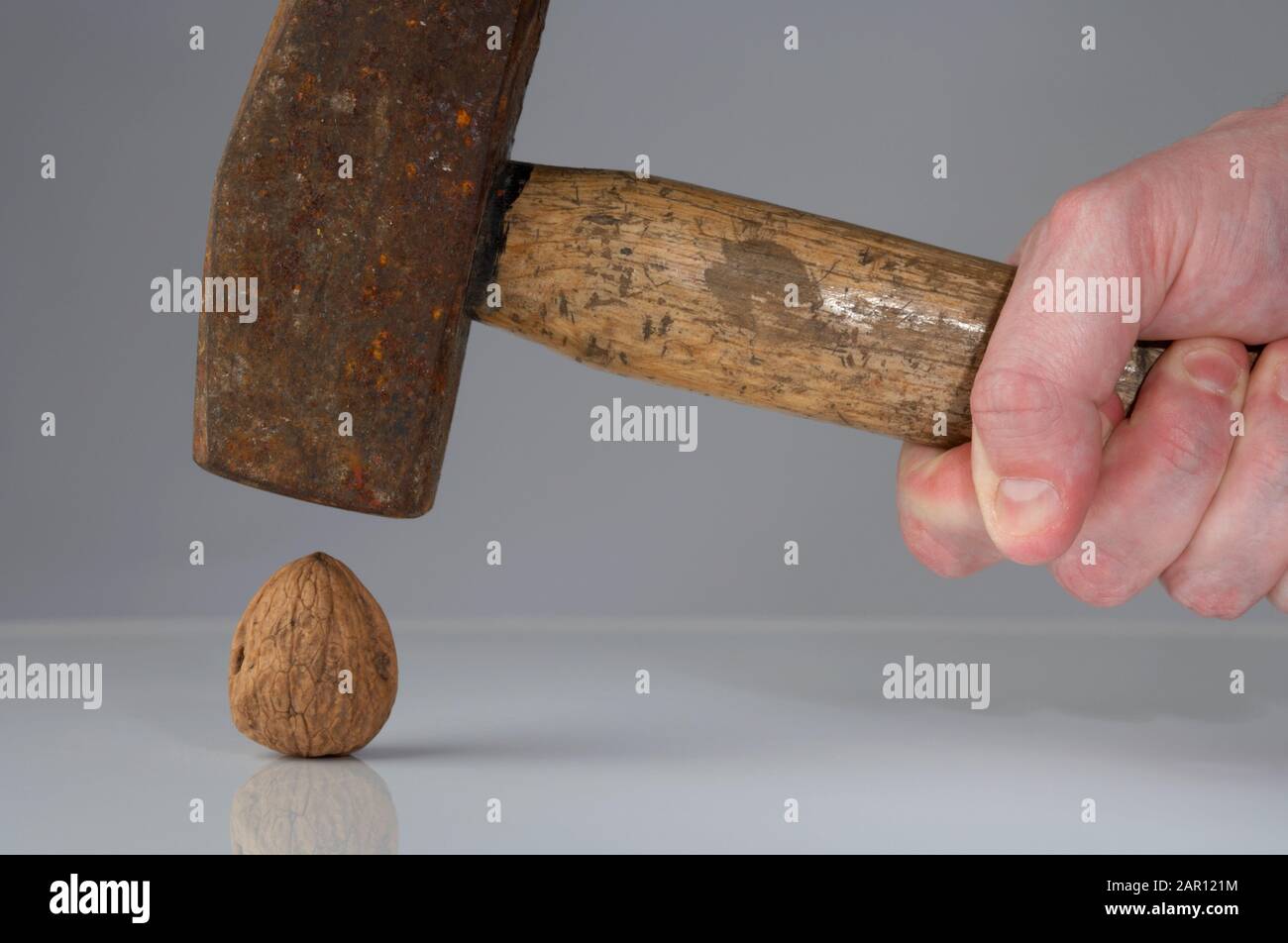 mans Hand hält einen Hammer über einer Walnuss das Konzept der Verwendung eines Hammers, um eine Mutter zu knacken oder zu überkill Stockfoto