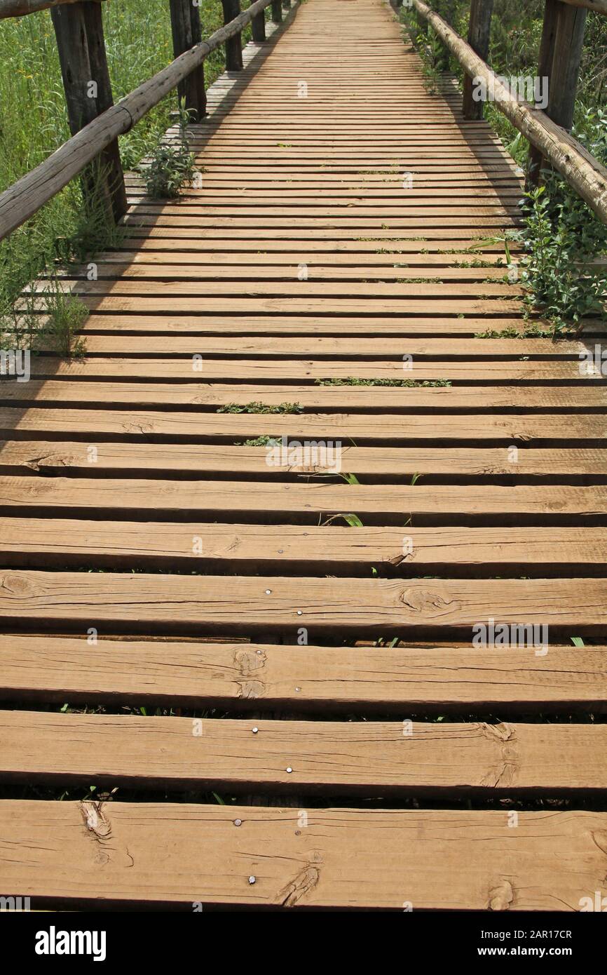 Holzbrücke in Richtung Mac Mac Falls, Graskop, Mpumalanga, Südafrika. Stockfoto