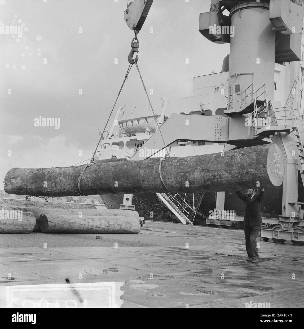 Betrug mit Holz in Houthaven, de houthaven van Amsterdam Datum: 10. september 1965 Standort: Amsterdam, Noord-Holland Schlüsselwörter: FRAAM Stockfoto