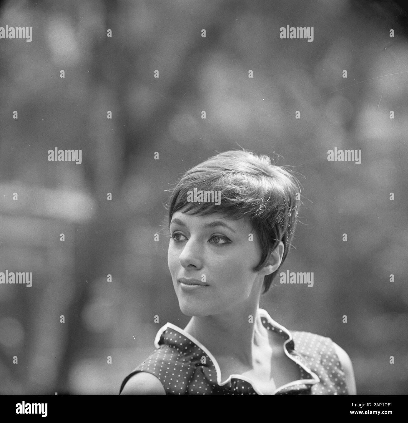 Frisur Tendens 1966, von Damenfriseur Mario (Kurzhaarschnitt der kurze Haarschnitt der Frauen Datum: 23. Juli 1965 Schlagwörter: Frisuren Stockfoto