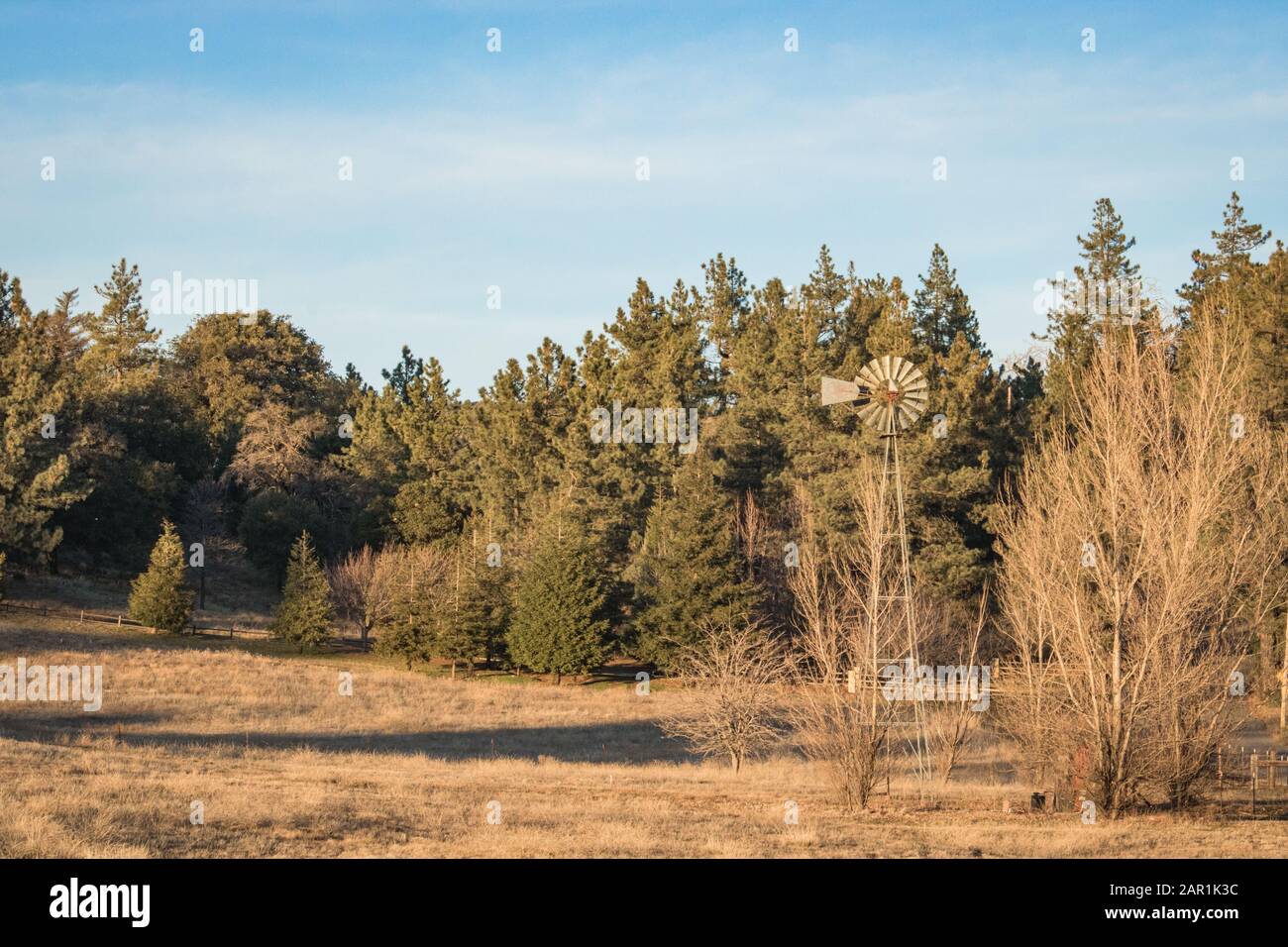 Autum American Western Rural Ranch Landschaft mit hoher alter alter rustikaler Retro-Windmühle in einem gemähten Feld und grünen Eichen- und Zypressenbäumen in t Stockfoto