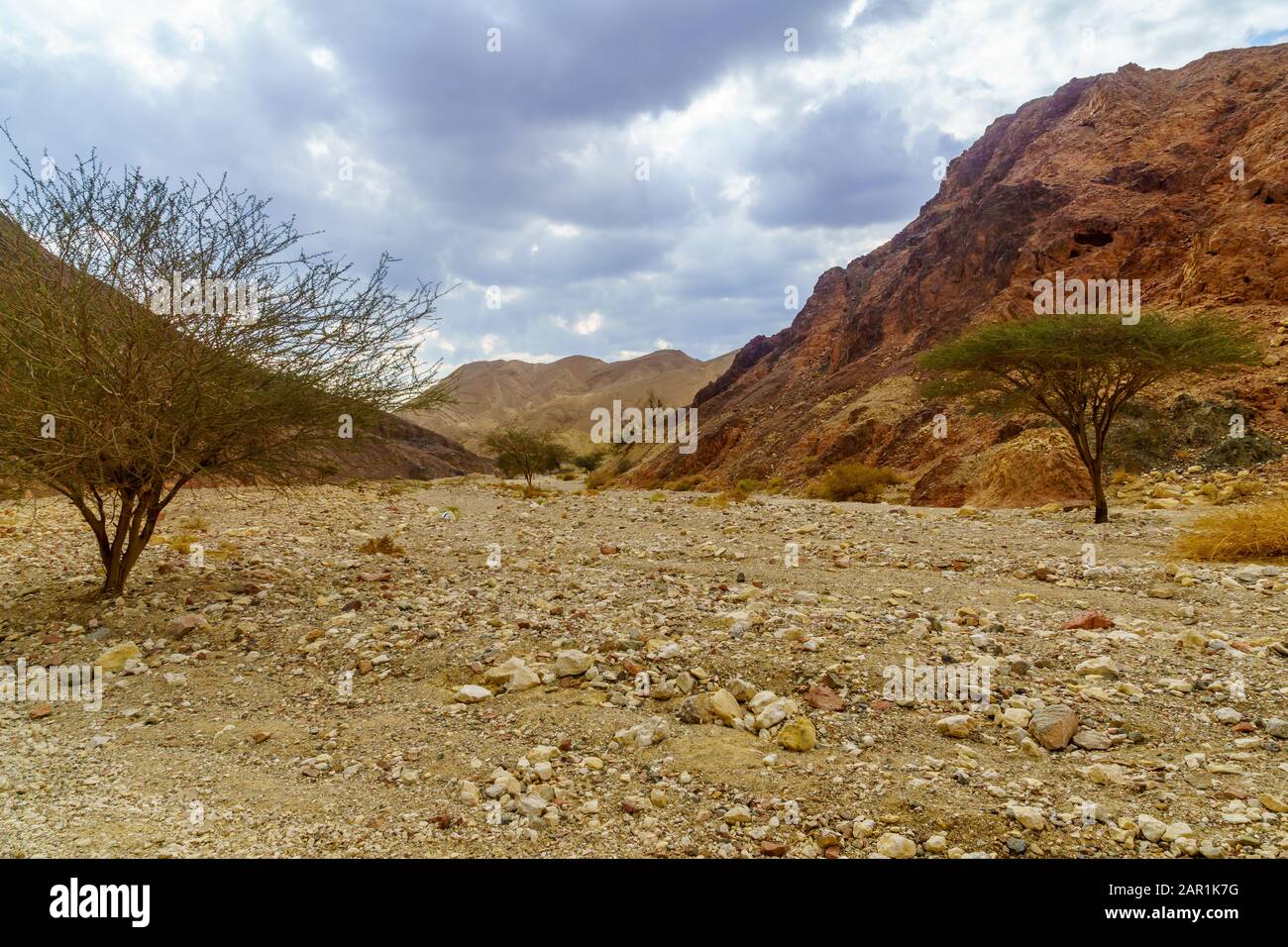 Blick auf den Nahal Shlomo (Wüstental). Eilat-Gebirge, Südisraelisch Stockfoto