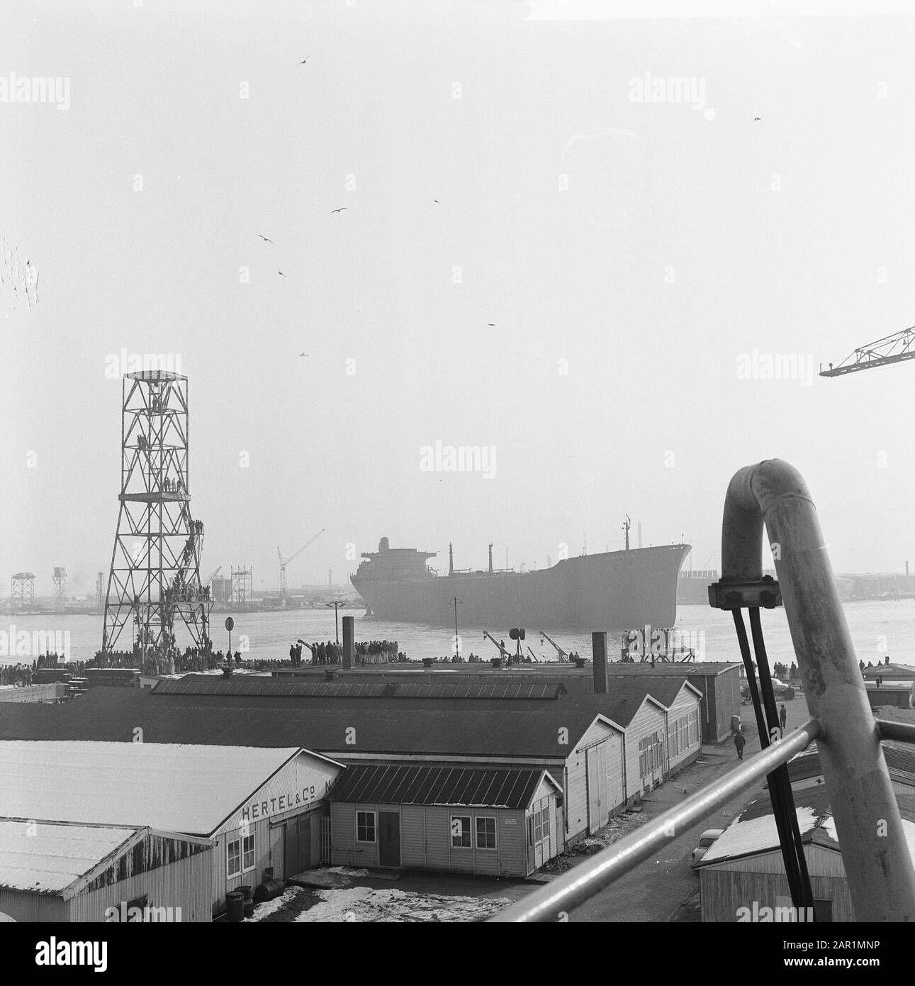 Shell-Tanker Diadema van Stack bei Wilton Fijenoord, 24.000 Tonnen (größte dort gebaut) Datum: 17. Februar 1966 Schlüsselwörter: Tankers Institution Name: Wilton-Fijenoord Stockfoto