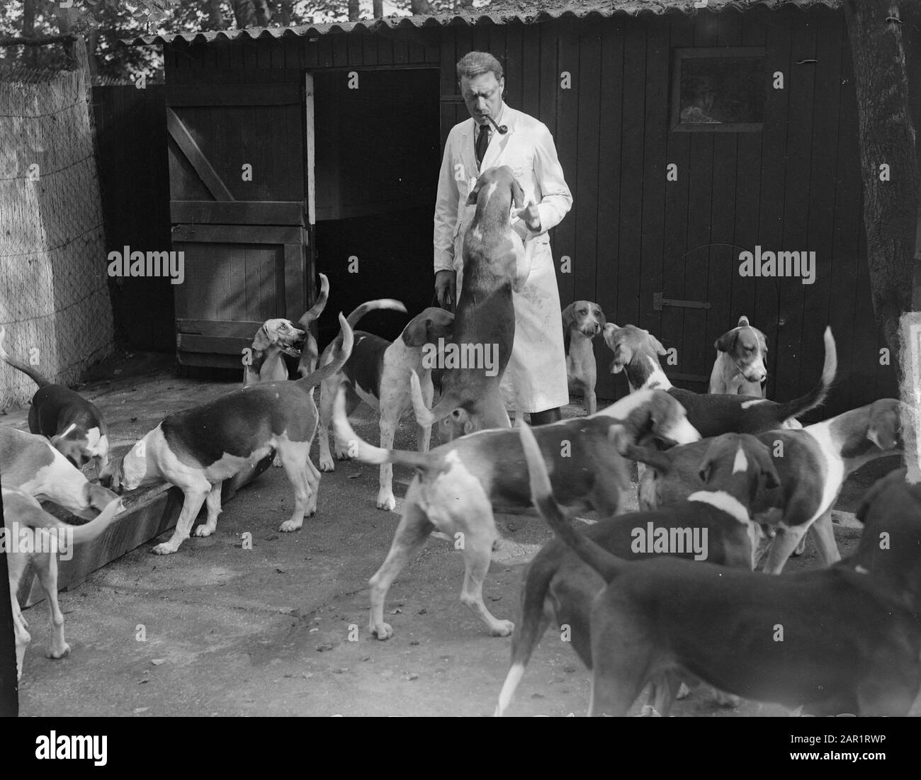 Königlicher Jagdverband Menke (Prinz Bernhard Jäger Meister) Alt Leusden Datum: 27. September 1949 Ort: Leusden Schlagwörter: Jagdhunde, Jagdmeister Personenname: Bernhard, Fürst Stockfoto