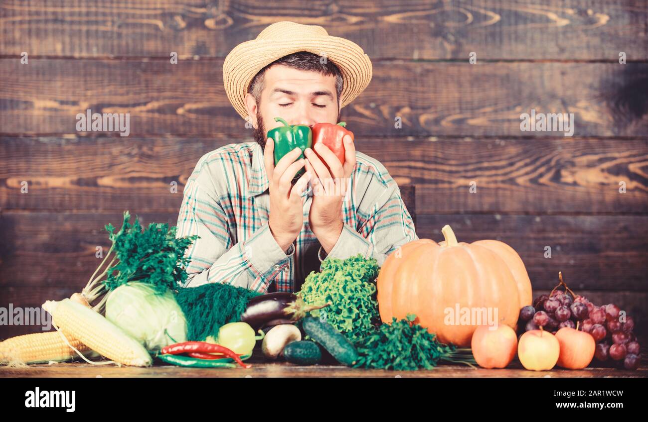 Homegrown Ernte Konzept. Typische Landwirt Kerl. Bauernhof Markt Harvest Festival. Man reife bärtige Landwirt halten Gemüse Holz- Hintergrund. Gemüse verkaufen. Lebensmittelgeschäft. Kaufen Gemüse lokalen Farm. Stockfoto