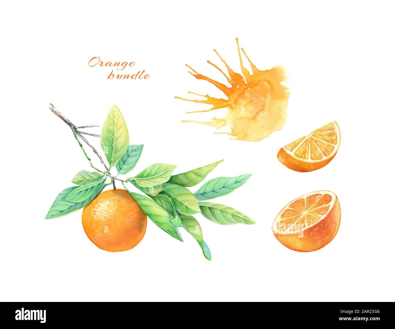 Orangefarbene Obstsammlung in Aquarell. Realistische botanische Illustration mit Zitrusfrüchten, Saft und Ast. Handgezeichnete exotische Lebensmittel auf weißem Etikett Stockfoto