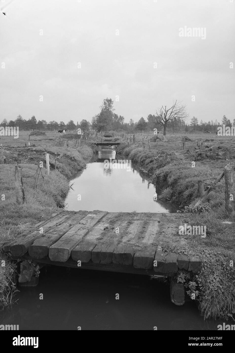 Normalisierung von Bächen, Graben und Feuchtgräben, Kanalisation, Taucher und Gartenarbeit, Bodenkonsolidierung, Alt, Zustand, Erstnässung, West Enddatum: Oktober 1956 Standort: Overijssel, Vriezenveen Schlagwörter: Taucher und Gartenarbeit, Graben und Feuchtgräben, Kanalisation, Normalisierung von Bächen, Alt-, Bodenkonsolidierung, Zustand Personenname: Erste Nässe, Westen Stockfoto