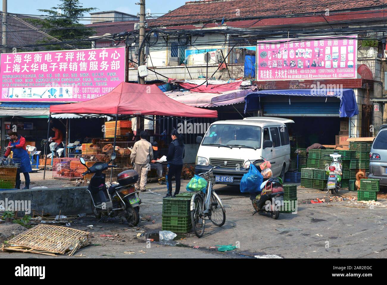 Shanghai, China - 9. November 2014: Menschen auf einem Markt, der lebende Vögel wie Huhn, Gänse und kleinere Vögel verkauft. Stockfoto