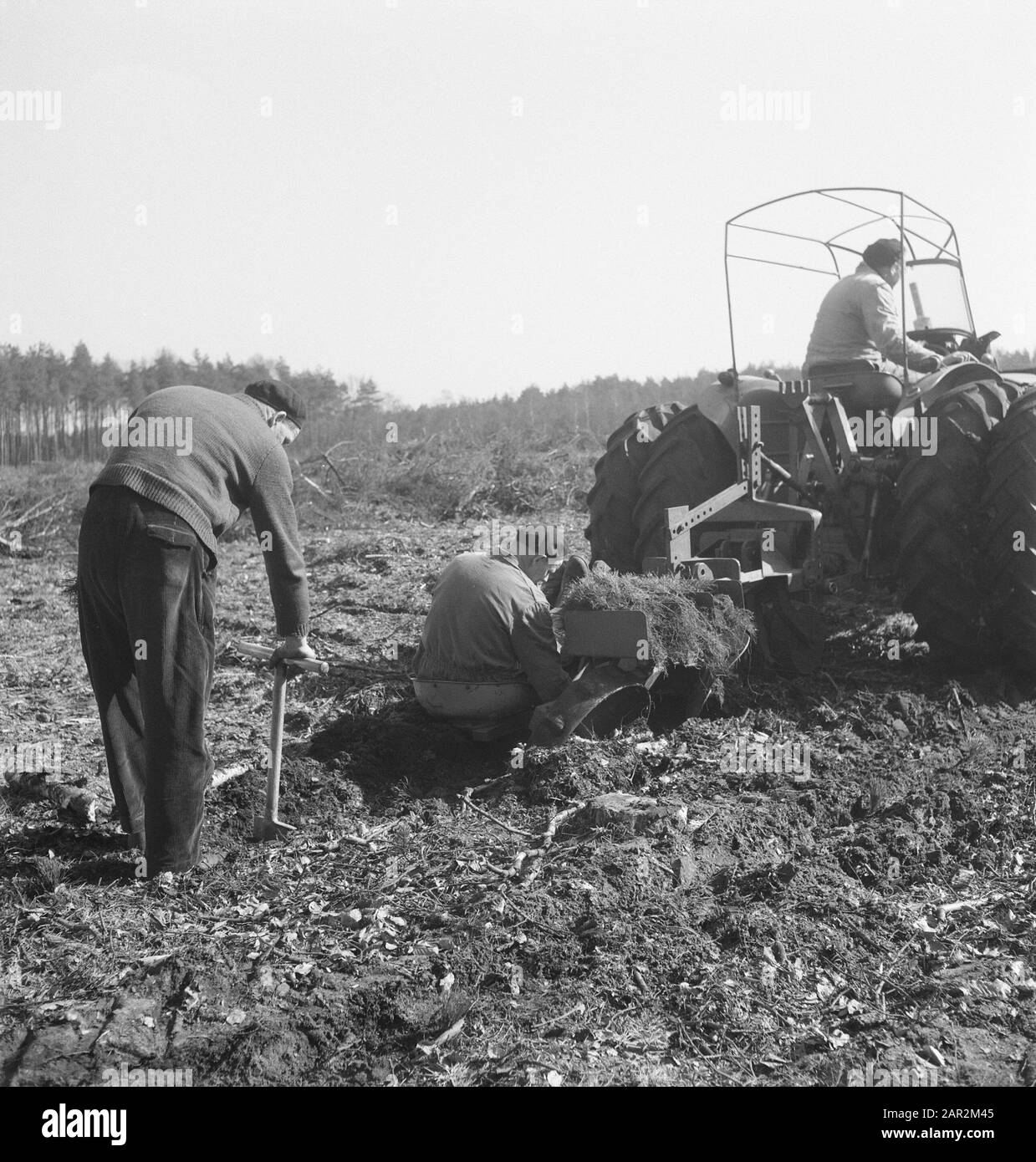 Bodenbearbeitung, Landmaschinen, Werkzeuge, Arbeiter, Traktoren Datum: Undatierte Schlüsselwörter: Arbeiter, Bodenbearbeitung, Landmaschinen, Werkzeuge Personenname: Traktoren Stockfoto