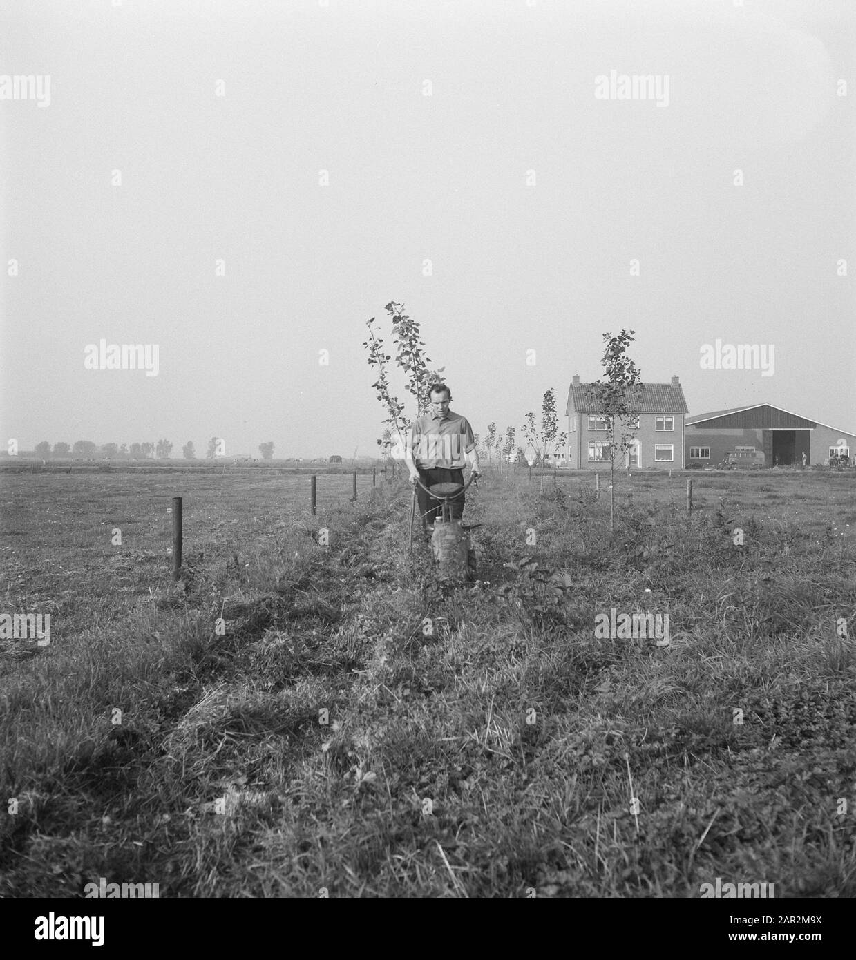 Maschinen, Werkzeuge, Arbeiter, Wiesen, Bauernhöfe, Grünland, Mähdatum: Undatierte Stichwörter: Arbeiter, Bauernhöfe, Grünland, Mähen, Maschinen, Weiden, Werkzeuge Stockfoto