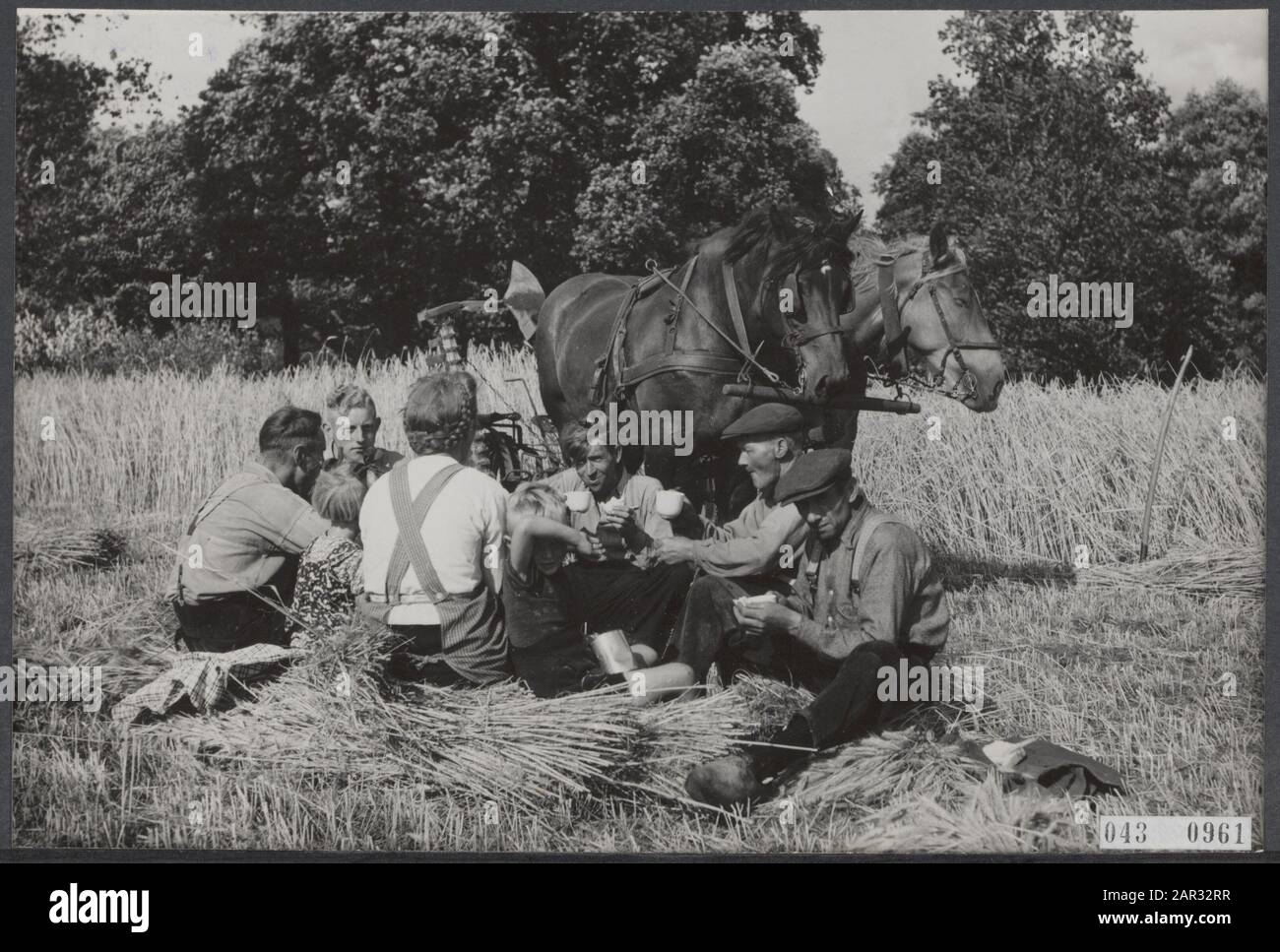 Verwendung von Landmaschinen Datum: 1953 Standort: Achterhoek, Beemster, Emmeloord Schlüsselwörter: Bodenbearbeitung, landwirtschaftliche Werkzeuge Stockfoto