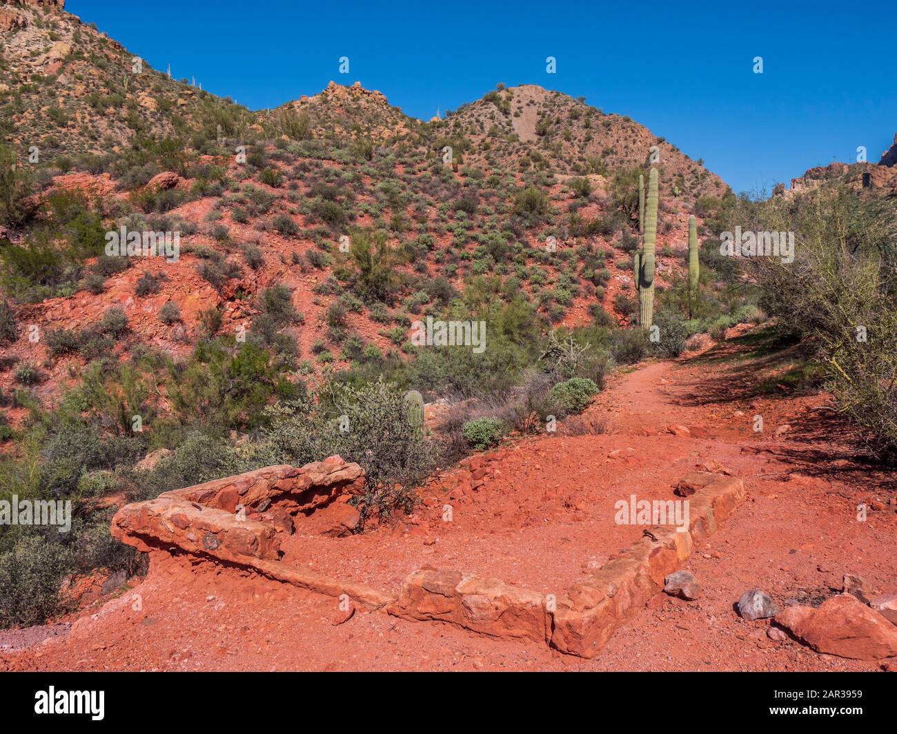 Überreste einer verlassenen Bergarbeiter-Shack-Stiftung, die vermutlich um 1956 von Ralph Morris, Indian Paint Mine, Superstition Wilderness, Arizona, konstruiert wurde. Stockfoto