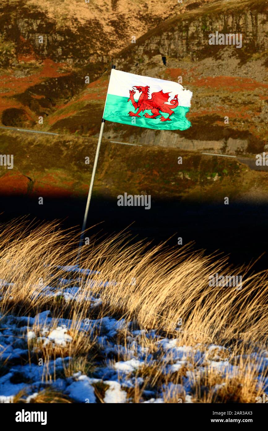 Walisische Flagge im Schnee auf dem Pen Pych Hill oberhalb des Rhondda Fawr Tals, Mid Glamorgan, Wales, Großbritannien Stockfoto