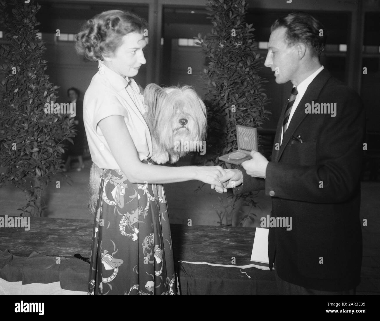 Internationale Hundeausstellung Utrechter Datum: 28. Juli 1957 Ort: Utrechter Schlüsselwörter: Hundeausstellungen Stockfoto
