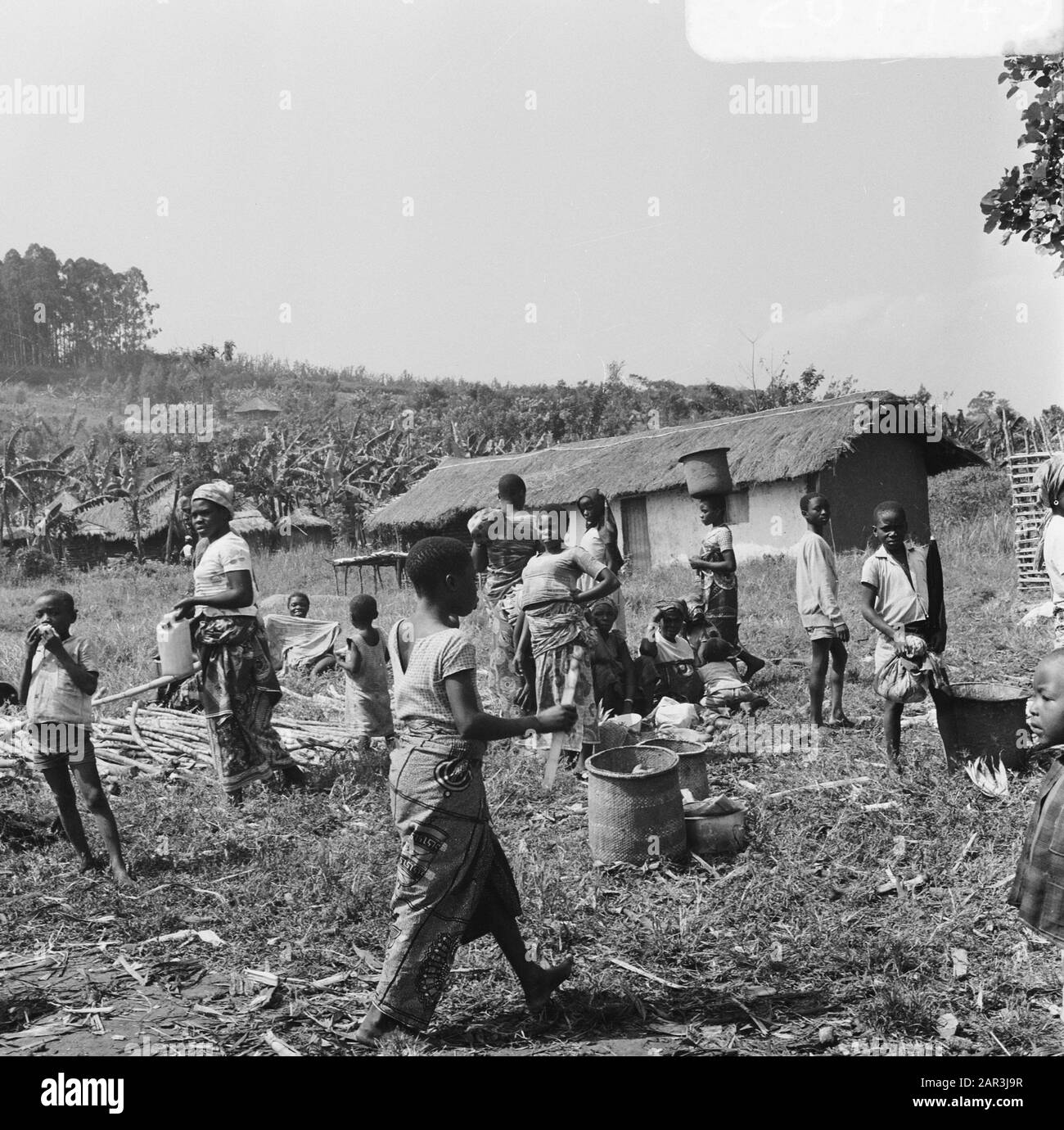 Zaire (früher Belgischer Kongo) landwirtschaftliche Arbeit auf einem Gebiet Datum: 24. Oktober 1973 Standort: Kongo, Zaire Schlüsselwörter: Felder, Landwirtschaft Stockfoto