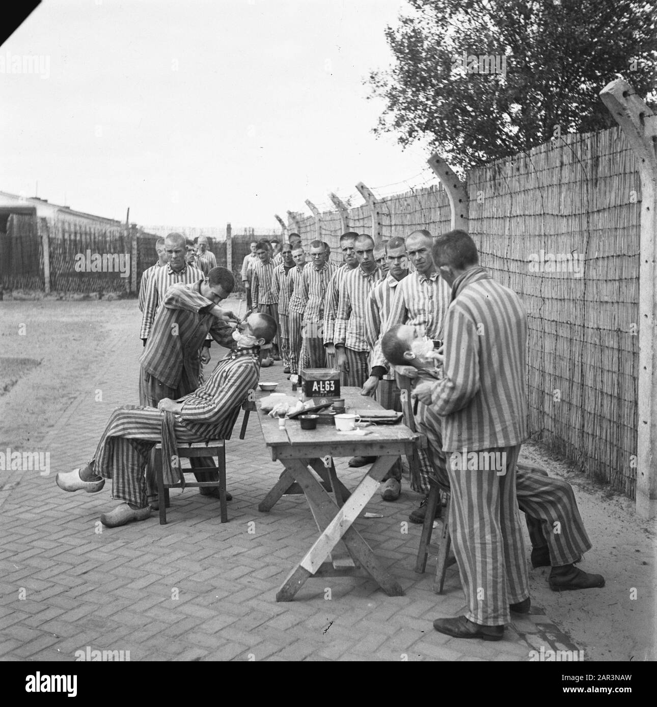 Reportage aus dem Lager in Vught Im Straflager in Vught, 7000 niederländische Mitarbeiter und Verräter sind gesperrt. Soldaten der niederländischen Stoottroopers sind für die Garde zuständig, insbesondere für die 300 niederländischen SS-Männer. Unter der Führung des Lagerkommandanten, Major L. Mennes, und seiner Helfer werden diese Häftlinge verwendet, um die Umgebung von Vught von Landminen zu reinigen. Sie sind mit den blau-weiß gestreiften Gefängnispaketen der von den Deutschen gefangenen ehemaligen Holländer bekleidet. Die Häftlinge erhalten die ebenfalls reduzierte zivile Mindestration, weil alle Delikatessen beseitigt wurden Stockfoto