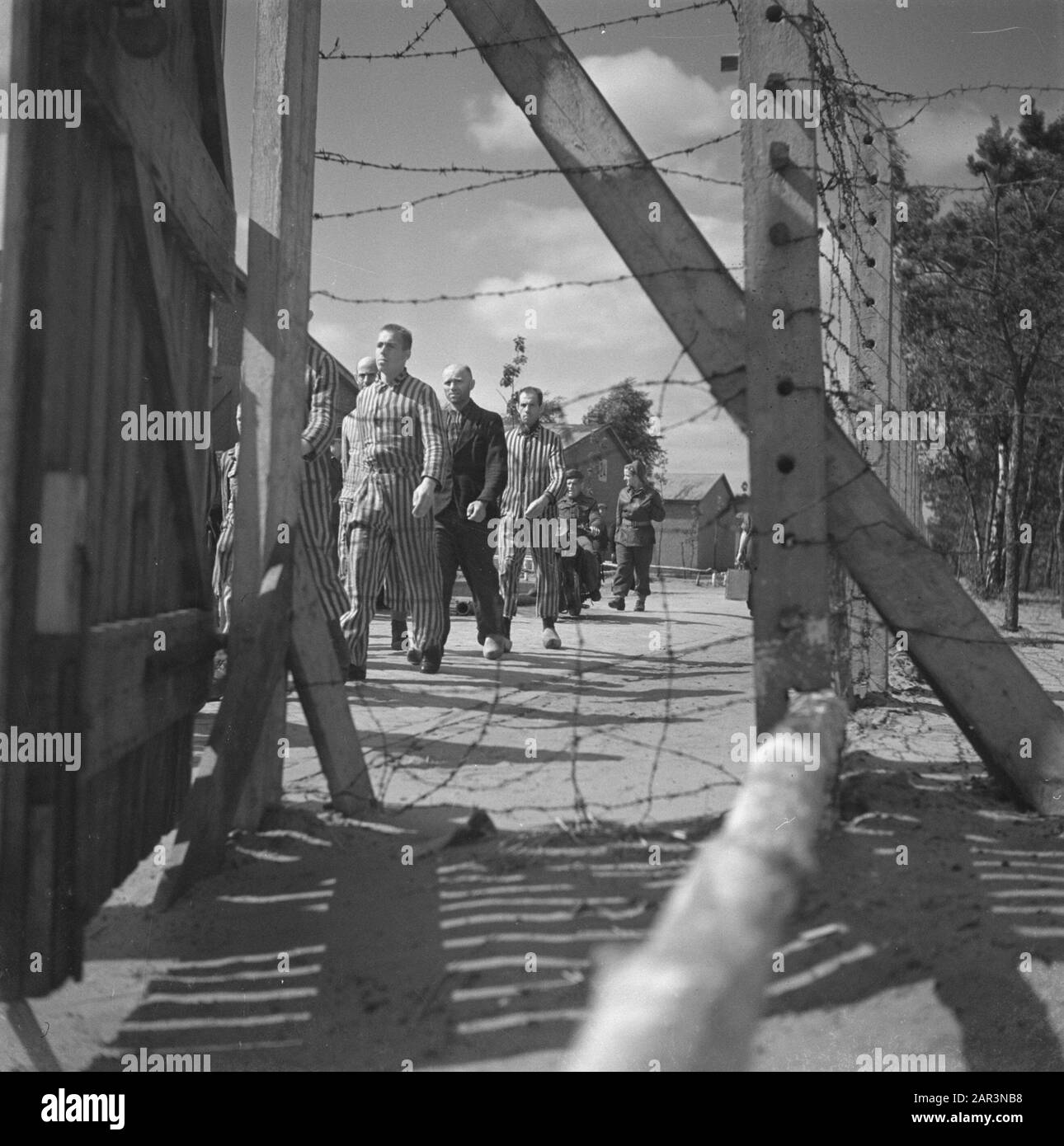 Reportage aus dem Lager in Vught Im Straflager in Vught, 7000 niederländische Mitarbeiter und Verräter sind gesperrt. Soldaten der niederländischen Stoottroopers sind für die Garde zuständig, insbesondere für die 300 niederländischen SS-Männer. Unter der Führung des Lagerkommandanten, Major L. Mennes, und seiner Helfer werden diese Häftlinge verwendet, um die Umgebung von Vught von Landminen zu reinigen. Sie sind mit den blau-weiß gestreiften Gefängnispaketen der von den Deutschen gefangenen ehemaligen Holländer bekleidet. Die Häftlinge erhalten die ebenfalls reduzierte zivile Mindestration, weil alle Delikatessen beseitigt wurden Stockfoto