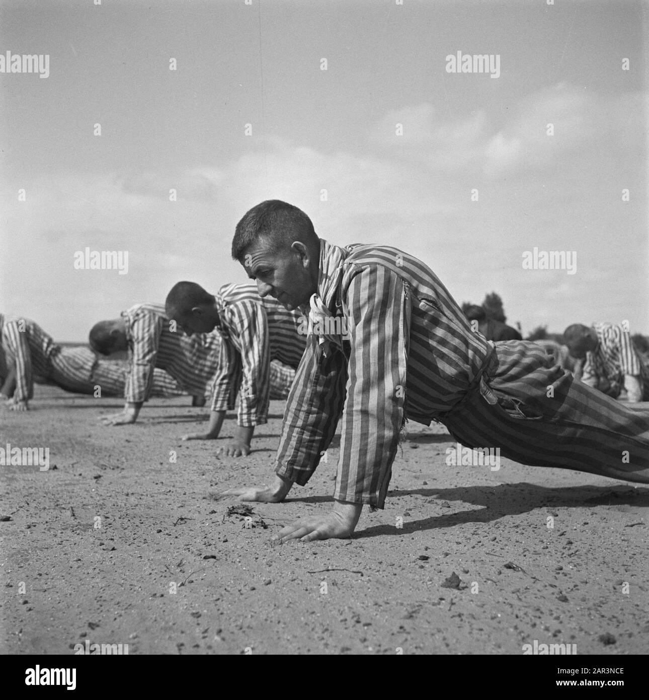 Reportage aus dem Lager in Vught Im Straflager in Vught, 7000 niederländische Mitarbeiter und Verräter sind gesperrt. Soldaten der niederländischen Stoottroopers sind für die Garde zuständig, insbesondere für die 300 niederländischen SS-Männer. Unter der Führung des Lagerkommandanten, Major L. Mennes, und seiner Helfer werden diese Häftlinge verwendet, um die Umgebung von Vught von Landminen zu reinigen. Sie sind mit den blau-weiß gestreiften Gefängnispaketen der von den Deutschen gefangenen ehemaligen Holländer bekleidet. Die Häftlinge erhalten die ebenfalls reduzierte zivile Mindestration, weil alle Delikatessen beseitigt wurden Stockfoto