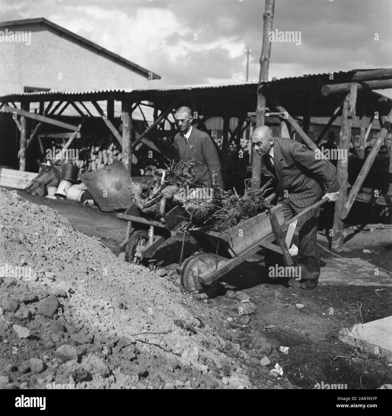 Camp Amersfoort, Internierungslager für Kriegsverbrecher und Kollaborateure Zwei Interneden mit Schubkarren Datum: Juli 1945 Ort: Amersfoort Schlüsselwörter: Reinigung, zweiter Weltkrieg Stockfoto