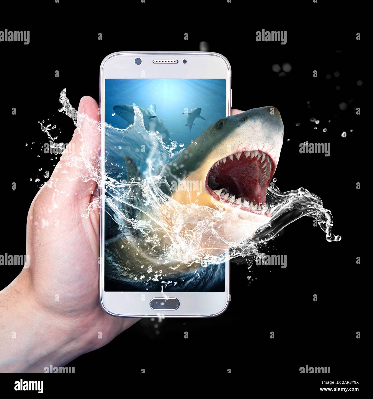 Halten Sie ein Smartphone mit einem Hai, der aus dem Smartphone kommt. Isoliert auf schwarzem Hintergrund. Stockfoto