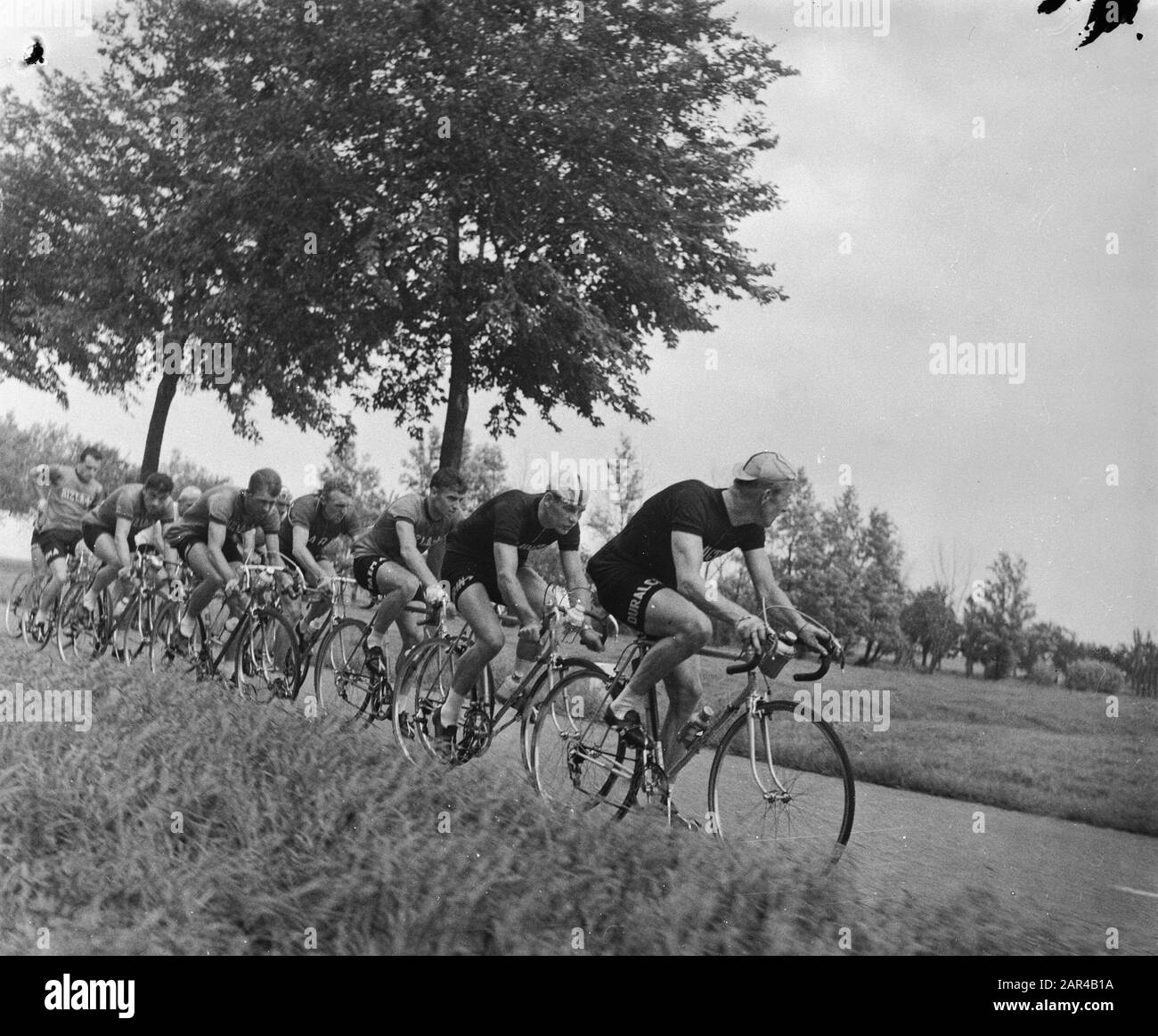 Fortsetzung der dritten Etappe Tour durch die Niederlande Datum: 8. August 1956 Schlagwörter: Radfahrer Stockfoto
