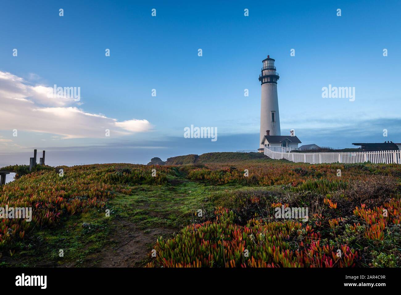 Morgen im Pigeon Point Lighthouse Stockfoto
