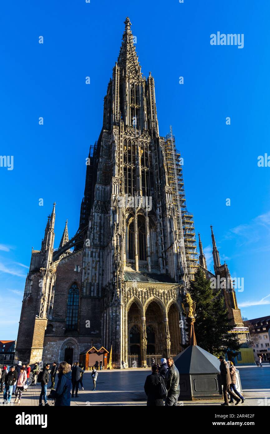 Ulm, 29. Dezember 2019, weltberühmtes Münster, ein gotischer Domkirche mit hohem Kirchturm und Gerüst, ein Touristenmagnet Stockfoto