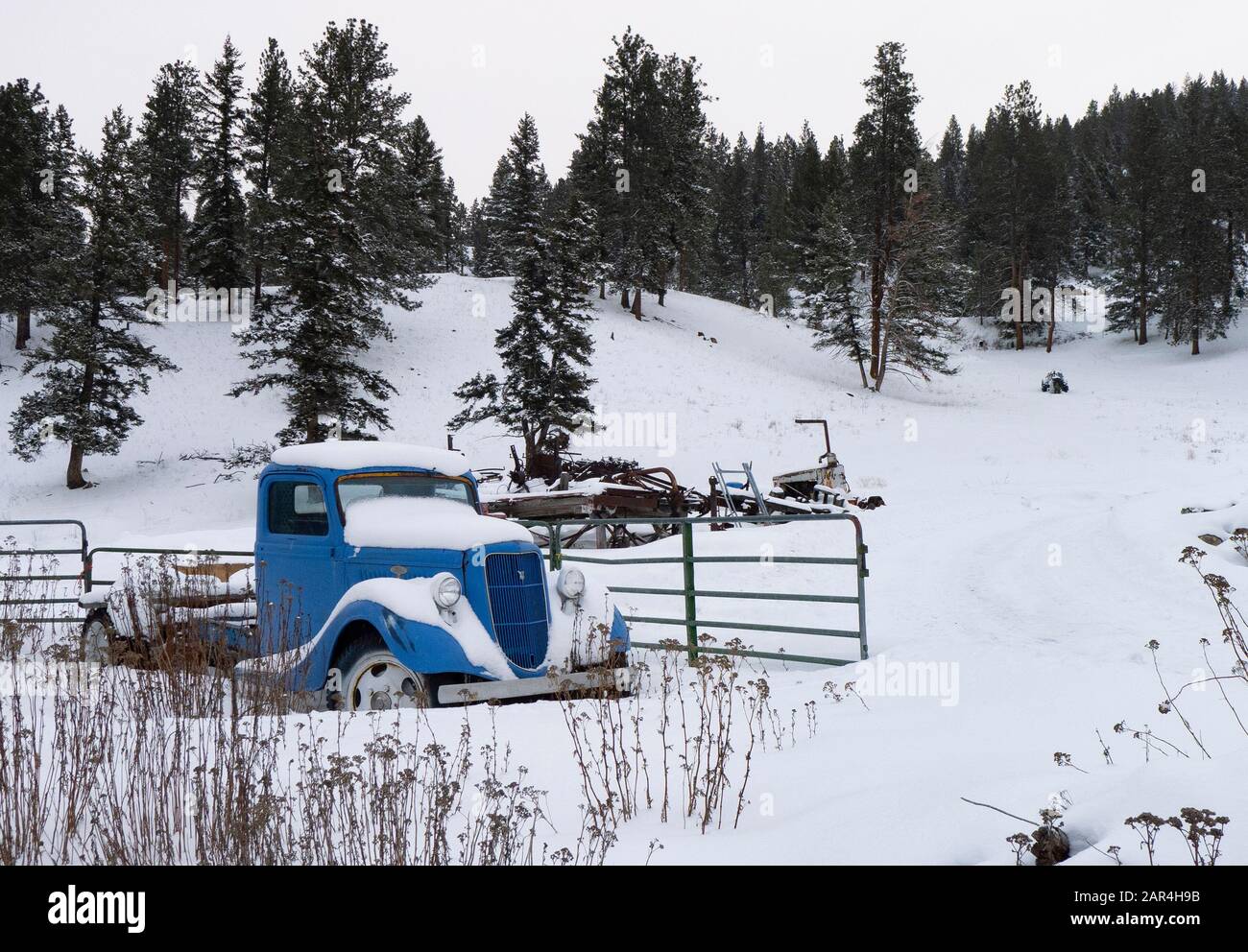 Ein Ford-LKW von 1935, der im Schnee bedeckt ist, auf einer Farm in Beavertail, Montana. Stockfoto