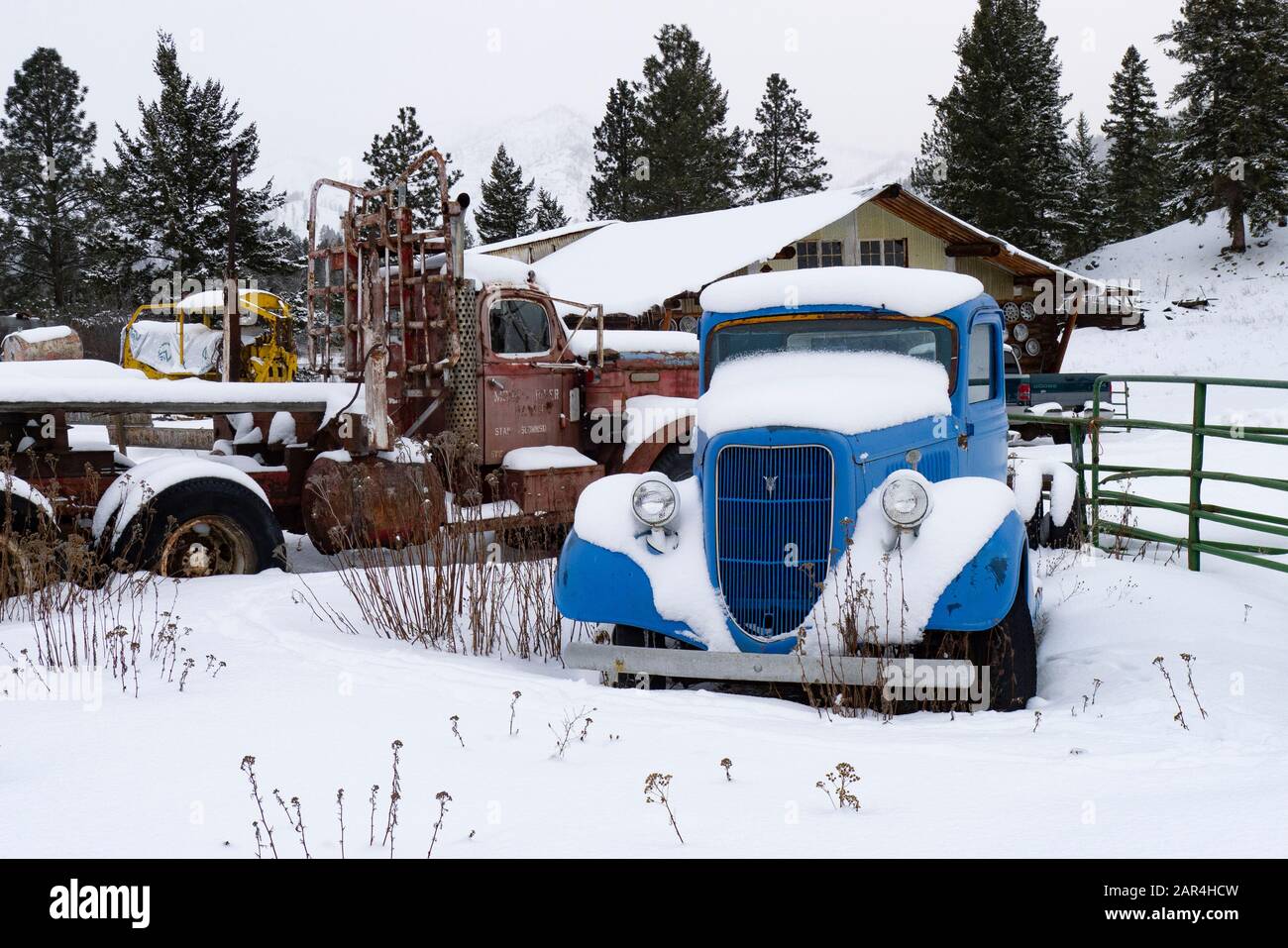 Ein Ford-LKW von 1935, der im Schnee bedeckt ist, auf einer Farm in Beavertail, Montana. Stockfoto