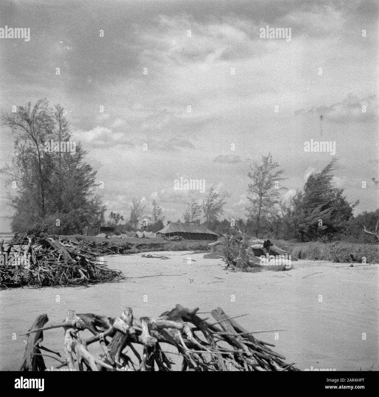 Kriegsfreiwillige in Malakka und Indonesien Driftwood in einem Fluss in der Nähe des Biwak am Java Datum: 1946 Ort: Indonesien, Niederländische Ostindien Schlüsselwörter: Holz, Landschaften, Flüsse Stockfoto