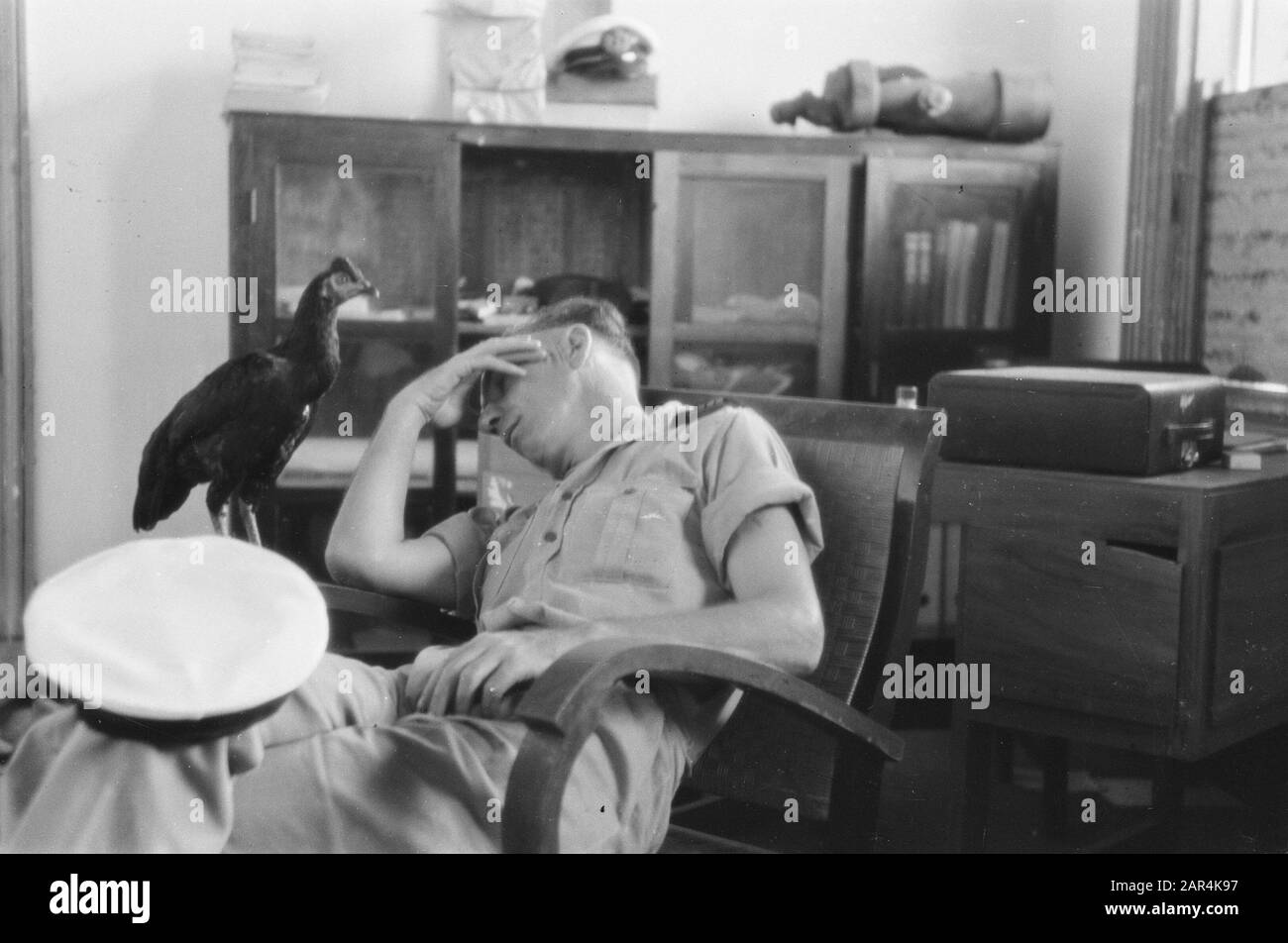 Ein Regierungsbeamter oder Marinemann schläft in einem Stuhl, während ein Huhn auf der Armlehne steht. Die Mütze ist jetzt auf seinem Knie Datum: 1947 Ort: Indonesien, Niederländisch-Ostindien Stockfoto