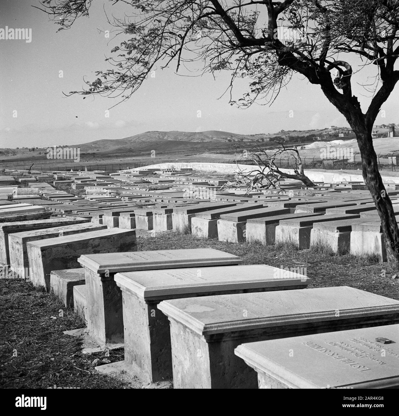 Reise nach Suriname und die niederländischen Antillen GRABSTEIN auf dem jüdischen Friedhof Beth Haïm am Curaçao Datum: 1947 Ort: Curaçao Schlüsselwörter: Friedhöfe, Gräber, jüdische Religion Stockfoto