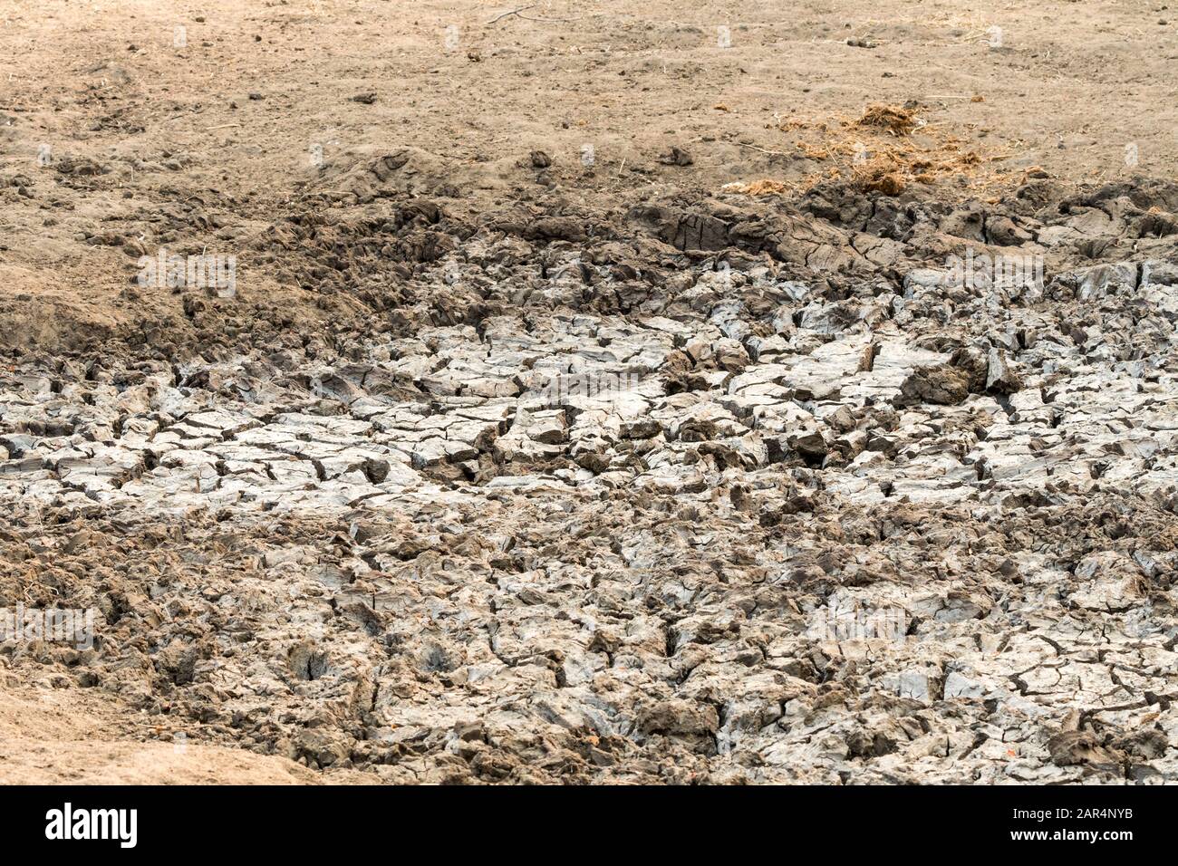 Ausgetrocknetes Wasserloch in der Natur im Kruger Nationalpark, Südafrika Konzept Wasserhaltung, Dürre, Wasser sparen, Klimawandel, globale Erwärmung Stockfoto