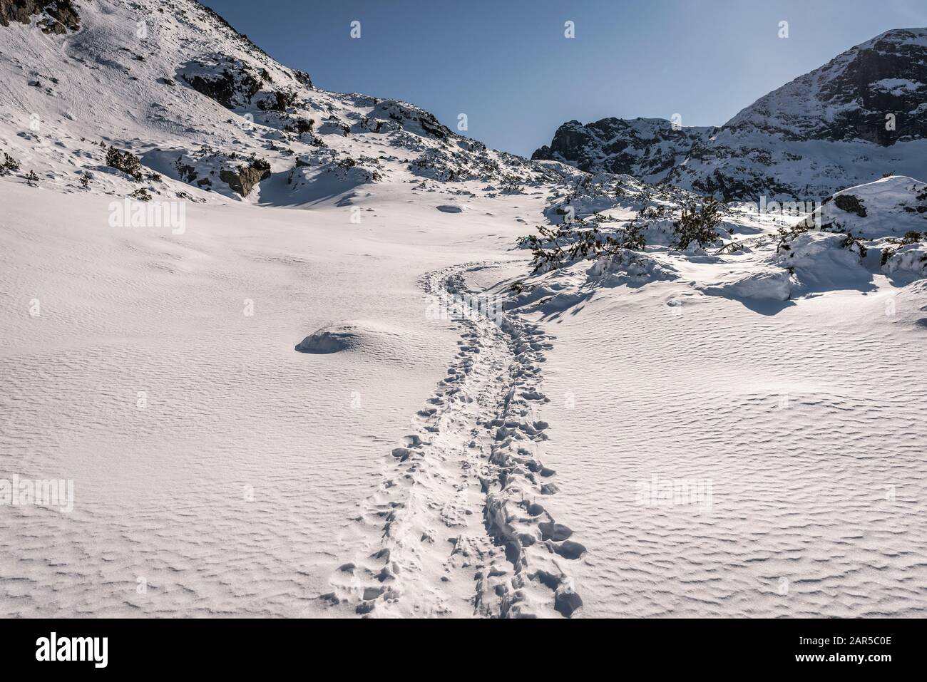 Winterwanderweg durch das Tal Stockfoto