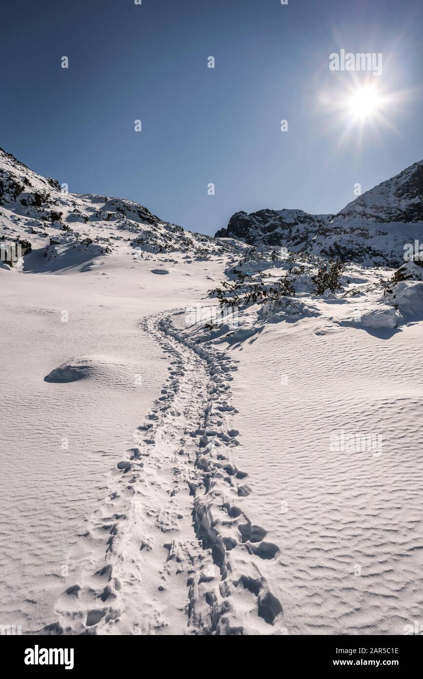 Winterwanderweg durch das Tal Stockfoto