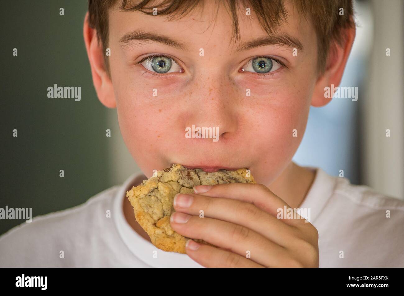 Kleiner Junge, der ein Plätzchen isst, während er direkt auf die Kamera blickt Stockfoto