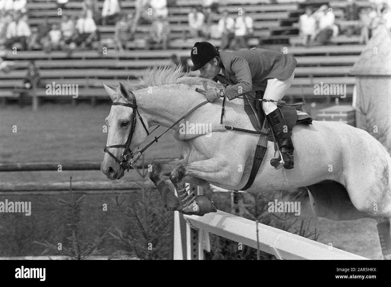 CHJO 1968 in Rotterdam-Jockey mej. A. Drummond Hay springt mit seinem Pferd über eine Hindernis-Anmerkung: Marginaler Negativstreifen: NR. 6 - mej. C. Hoffmann; NR. 8 - P. Bakker Datum: 28. August 1968 Ort: Rotterdam, Zuid-Holland Schlüsselwörter: Concours hippique persönlicher Name: Bakker, P., Drummond Hay, A. Stockfoto