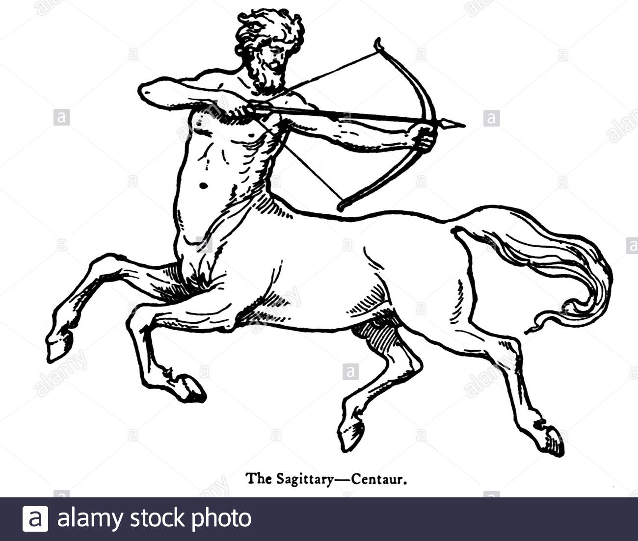 Der Sagittary(Saggitarius), Centaur, Jahrgangsabbildung aus dem Jahr 1900 Stockfoto
