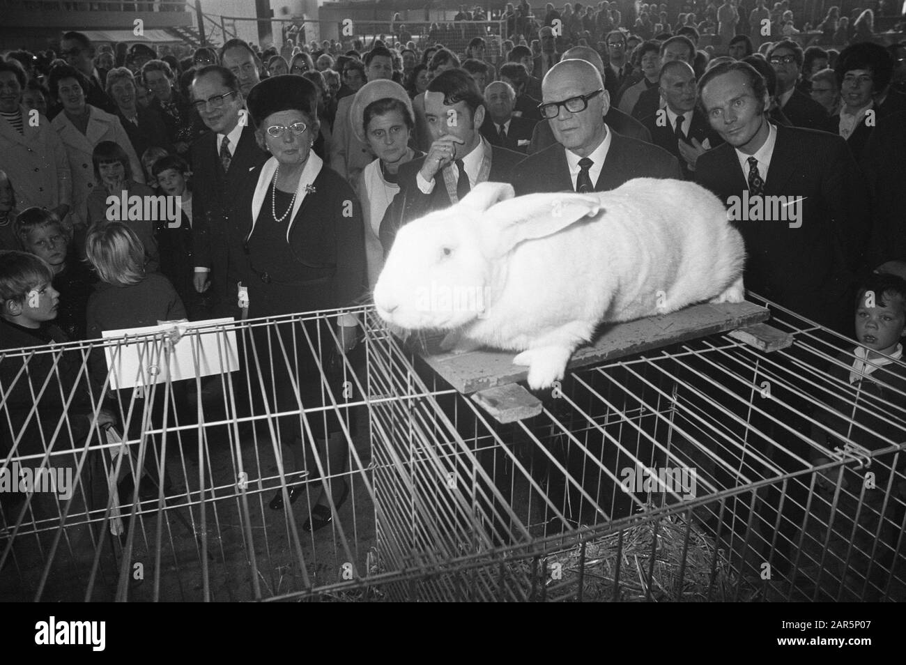 Staatsbesuch von Präsident Kekkonen in Finnland in den Niederlanden Kekkonen und Königin Juliana Besuchen Sie die Flevopolder, Ihre Majestät und Kekkonones bei Kaninchen Datum: 26. Oktober 1972 Ort: Flevoland, Flevopolder Schlüsselwörter: Kaninchen, Königinnen, Präsidenten, Staatsbesuche persönlicher Name: Juliana (Königin Niederlande), Kekkonen, Urho Stockfoto