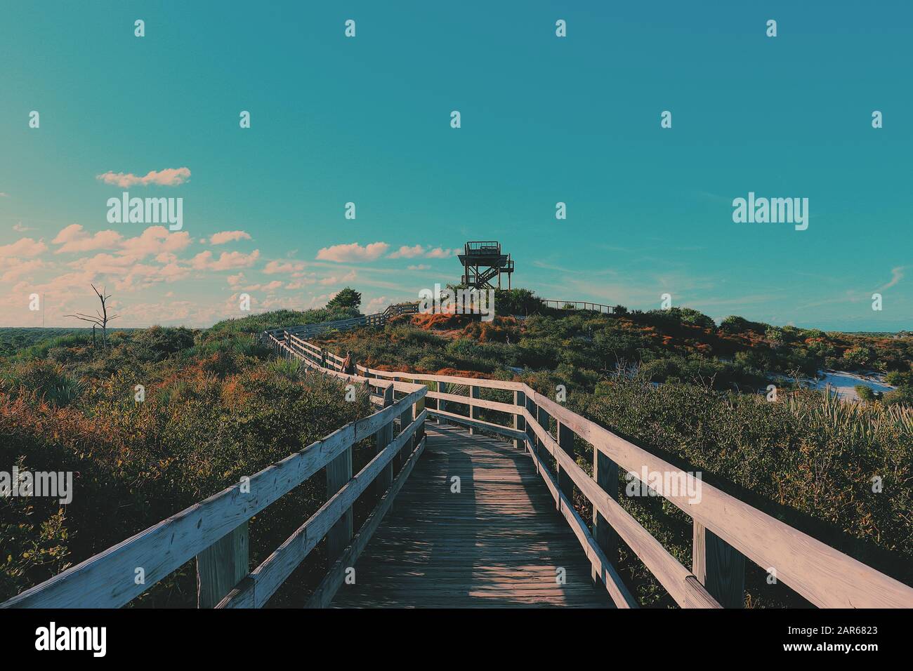 Ein schön bearbeitetes Bild eines gewundenen, bewaldeten Gehwegs, der von Büschen umgeben ist und zu einem Aussichtsturm führt. Leuchtende Farben im ganzen. Stockfoto