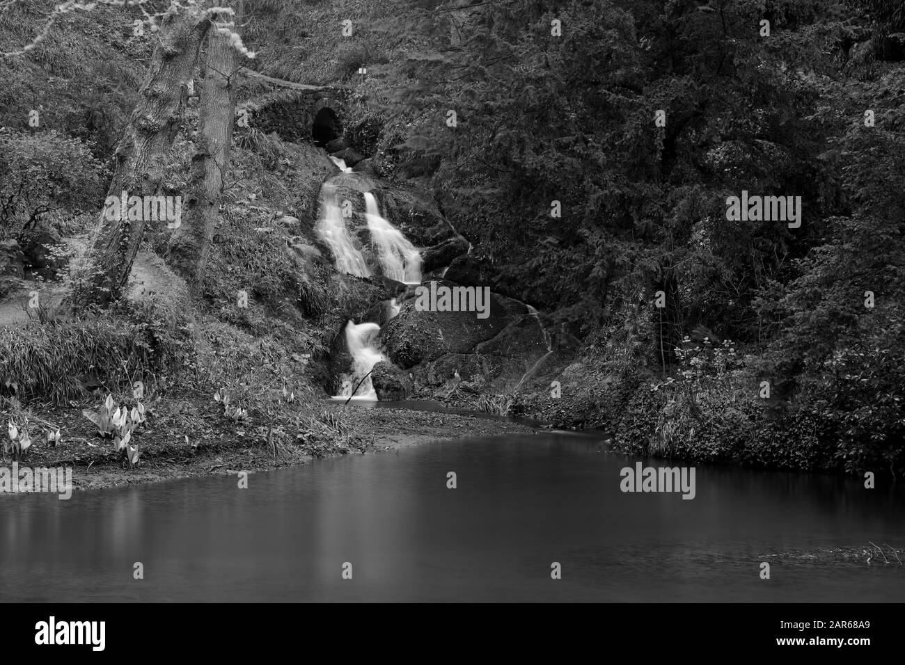 Conwy.Wales.Großbritannien.März 18. 2017.Lange Exposition eines Wasserfalls im Wald am Bodnant Garden in Conwy in Nordwales Stockfoto