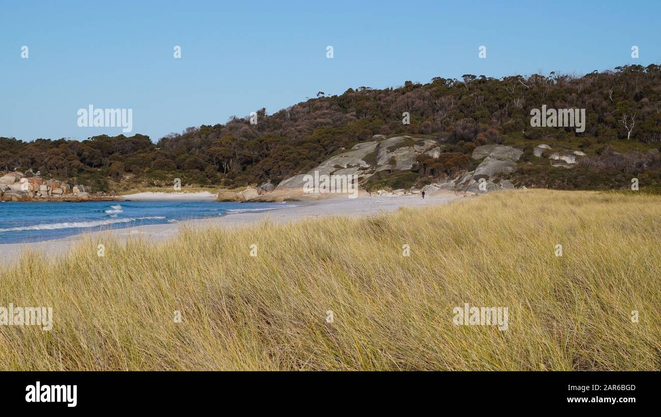 Die spektakulären roten Felsenbuchten in tasmanien, australien. Stockfoto