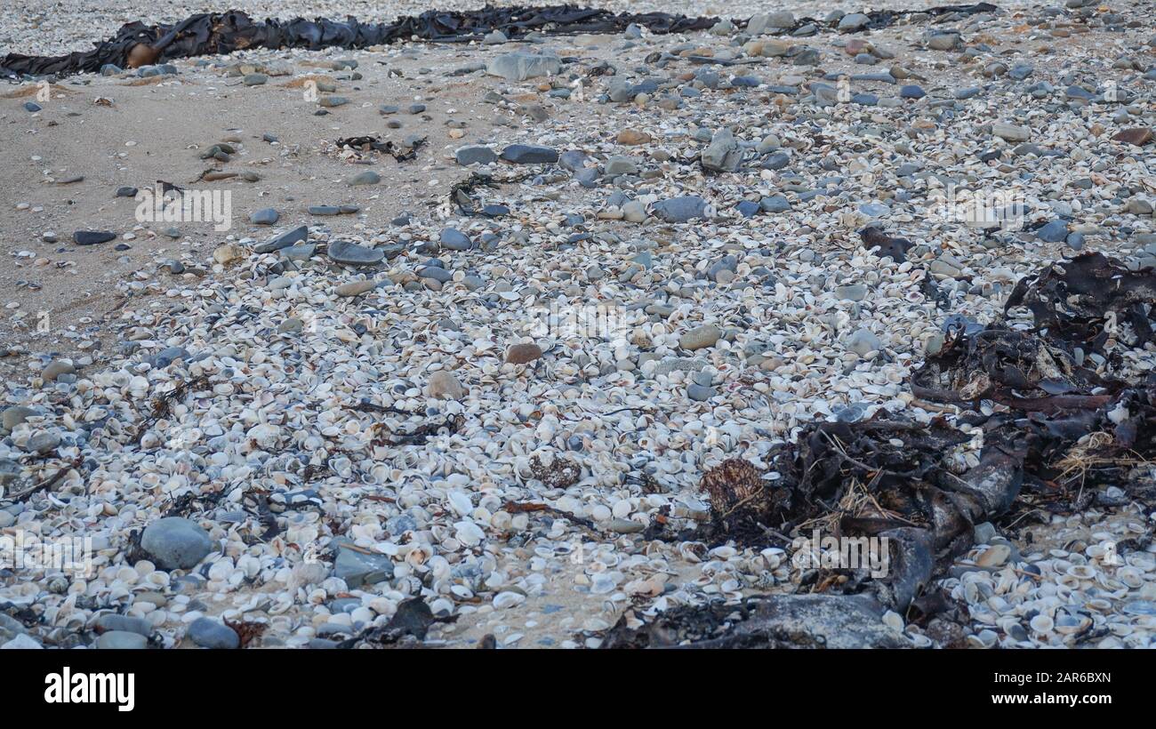 Die spektakulären roten Felsenbuchten in tasmanien, australien. Stockfoto