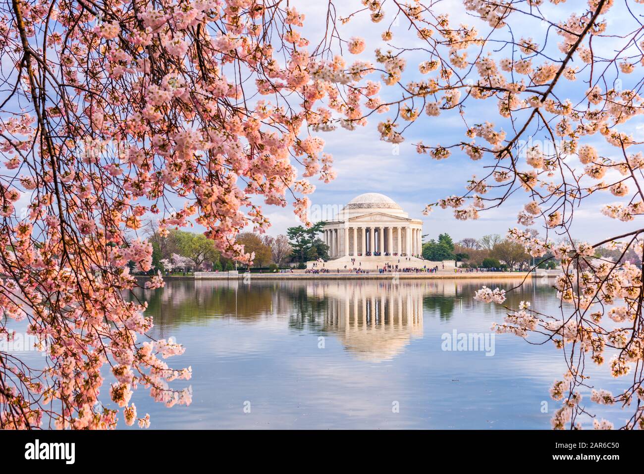 Washington, DC am Tidal Basin und Jefferson Memorial im Frühjahr. Stockfoto