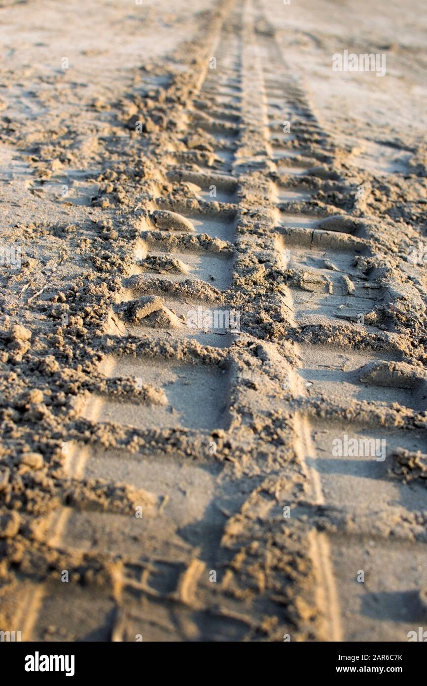Fußabdrücke im Sand von einem Auto. Sandstrandspuren eines Wagens, der Müll und Algen säubert. Stockfoto