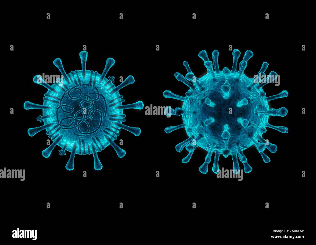 Coronavirus Zellstrukturkonzept / 3D-Abbildung des 2019 Neuartigen Coronavirus, das einsträngiges RNA-Genom und -Spitze, Membran und Hüllkurve pro zeigt Stockfoto