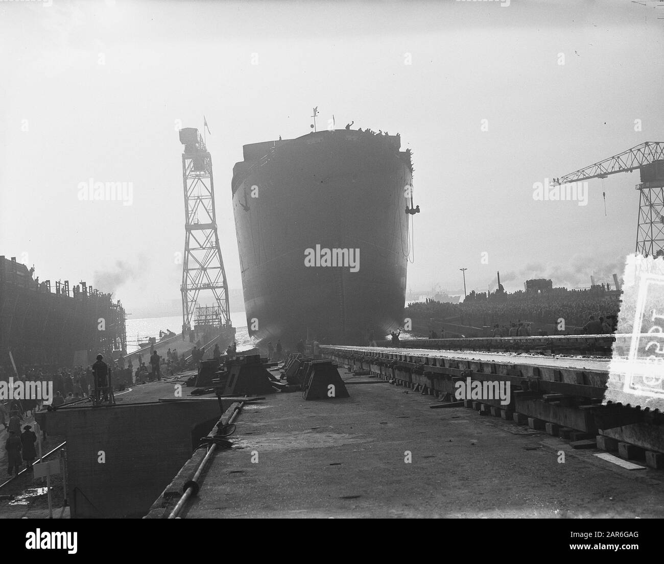 Tewaterlating Willem Barendsz II, Wilton Fijenoord Datum: 20. November 1954 Standort: Schiedam Schlüsselwörter: Schiffbau, Start, Walfänger Institutionenname: Willem Barentz, Wilton -Fijenoord Stockfoto